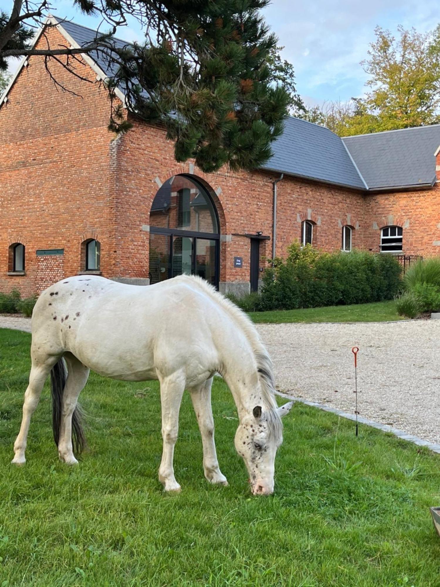 Aux Bois Dores De La Ferme De Sorval, Animaux De La Ferme, Fitness Selvigny Eksteriør bilde